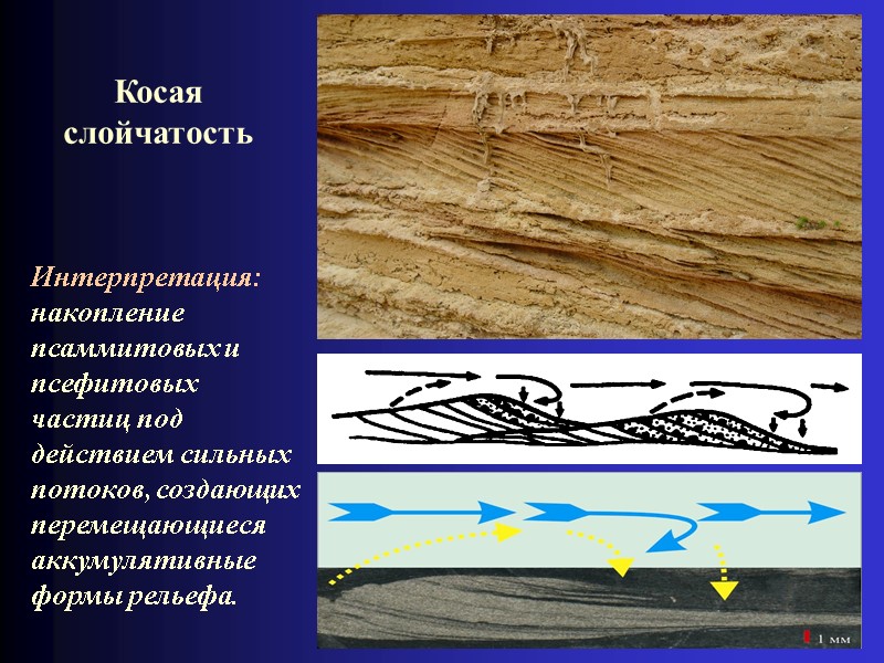Косая слойчатость Интерпретация: накопление псаммитовых и псефитовых частиц под действием сильных потоков, создающих перемещающиеся